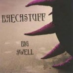 Big Swell – Baecastuff